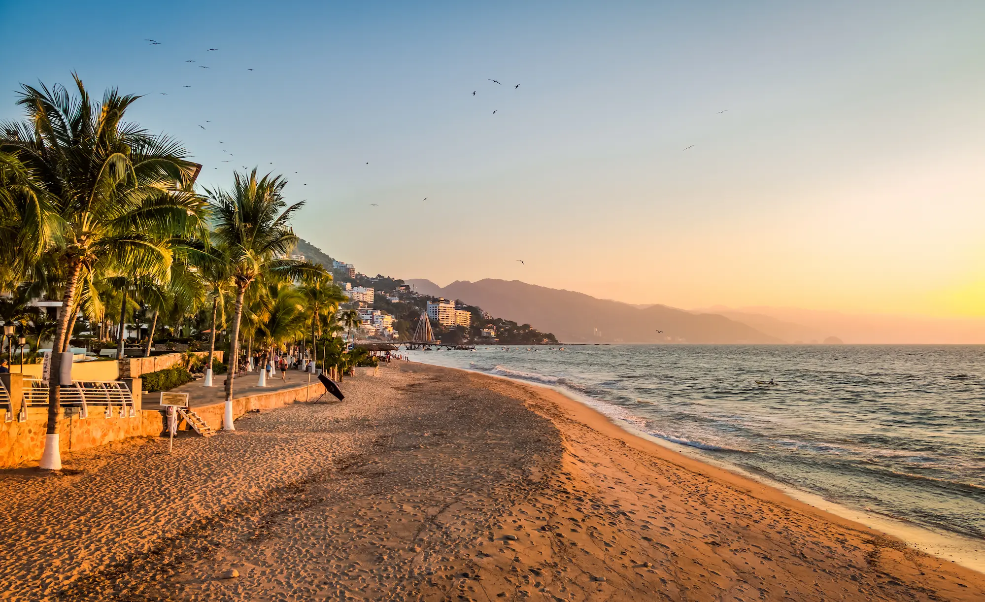 puerto-vallarta-sunset-and-palms-puerto-vallarta-2026-03-24-23-10-01-utc